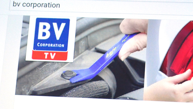 BV-TV